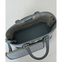Perfette Qualità Repliche Borsa tote mini Gucci serie Ophidia Blu Imitazione