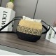 Perfette Qualità Repliche Loewe x Paula's Ibiza Raffia Beehive Degrade Basket Borsa Imitazione
