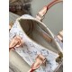 Replica perfetta Louis Vuitton Speedy Bandouliere 20 Borsa in tessuto monogramma M24709 Imitazione Outlet Online