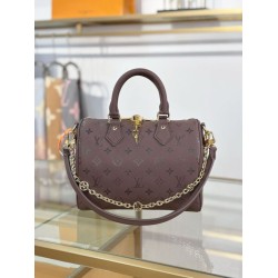 Repliche Perfette Borsa Speedy Bandoulière 25 M26691 Bordeaux Imitazioni False Online