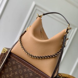 Repliche Perfette Borsa a tracolla LV Multipass Express M28029 Marrone Imitazioni False Online