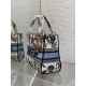 Replica Perfetta Borsa Dior Medium Lady D-Lite con ricamo Constellation Blu/Bianco Imitazioni Fake