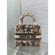 Replica Perfetta Borsa Dior Canvas Cabinet De Curiosites ricamata Lady D-Lite media beige Imitazioni Fake