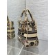 Replica Perfetta Borsa Dior Canvas Cabinet De Curiosites ricamata Lady D-Lite media beige Imitazioni Fake