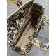 Replica Perfetta Borsa Dior Canvas Cabinet De Curiosites ricamata Lady D-Lite media beige Imitazioni Fake