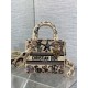 Replica Perfetta Borsa Dior Canvas Cabinet De Curiosites ricamata Lady D-Lite media beige Imitazioni Fake
