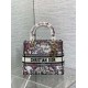 Replica Perfetta Borsa Dior Lady D-Lite media con ricamo floreale multicolore Imitazioni Fake