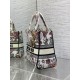 Replica Perfetta Borsa Dior Lady D-Lite media con ricamo floreale multicolore Imitazioni Fake
