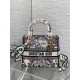 Replica Perfetta Borsa Dior Lady D-Lite media con ricamo floreale multicolore Imitazioni Fake