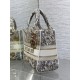 Replica Perfetta Borsa Christian Dior Medium Lady D-Lite con motivo ricamato latte  Imitazioni Fake