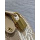 Replica Perfetta Borsa Dior Groove 20 in tela jacquard Dior Oblique beige Imitazioni Fake