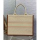 Miglior Falso Dior Dior Book Tote Media Albicocca Economiche Premium