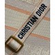 Miglior Falso Dior Dior Book Tote Media Albicocca Economiche Premium