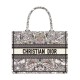 Miglior Falso Dior Dior Book Tote Media Grigio Economiche Premium