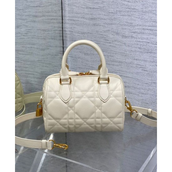Miglior Falso Borsa Dior Groove 20 Albicocca Economiche Premium