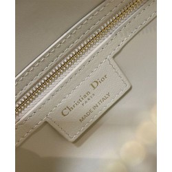 Miglior Falso Borsa Dior Groove 20 Albicocca Economiche Premium