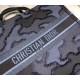Replica Christian Dior Oversize Book Shopping Borse Blu scuro