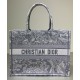 Replica Christian Dior Borsa piccola Dior Book Tote