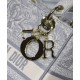 Replica Borsa Christian Dior Medium Lady D-Lite grigia