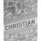 Replica Christian Dior Book Tote grigio