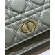 Replica Christian Dior Caro Marsupio Con Borsa A Catena Grigio