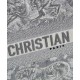 Replica Christian Dior Borsa piccola Dior Book Tote grigia