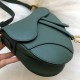 Replica Borsa da Saddle Christian Dior M0446 Verde