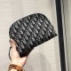 Replica Pochette obliqua Christian Dior