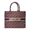 Dior Book Tote