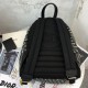 Replica Zaino obliquo Christian Dior