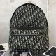 Replica Zaino obliquo Christian Dior