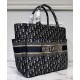 Replica Borse a mano Christian Dior Katrina Blu scuro