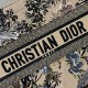 Replica Borsa tote Dior media a libro Jardin d'Hiver ricamo Beige