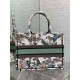 Replica Borsa tote Dior Medium Book Toile de Jouy Mexico Ricamo Bianco