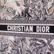 Replica Borsa Dior Book Tote Toile de Jouy Carnivora Motivo Grigio
