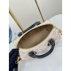 Replica Borsa Louis Vuitton Speedy Bandouliere 20 M46906 Monogram Dune