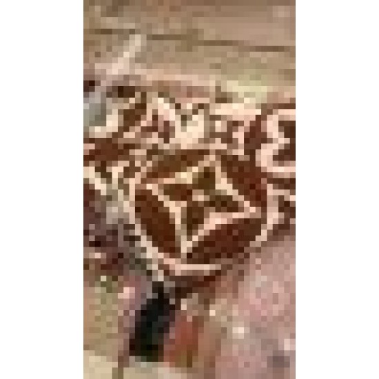 Replica Louis Vuitton M79215 Sciarpa medaglione LV Marrone
