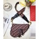 Replica Borsa da Saddle Christian Dior M0446 rossa