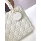 Replica Borsa Christian Dior Lady Dior Ultra-Matte White