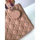 Replica Borsa Christian Dior Lady Dior Ultra-Matte Borse Albicocca Replica Borsa Christian Dior Lady Dior Ultra-Matte Borse Albicocca